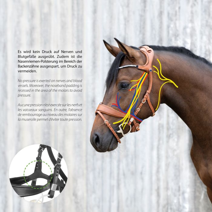 Stübben Bridle Freedom II with Slide&Lock