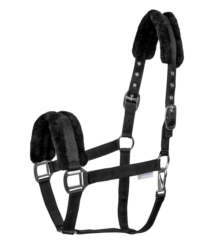 First Halter