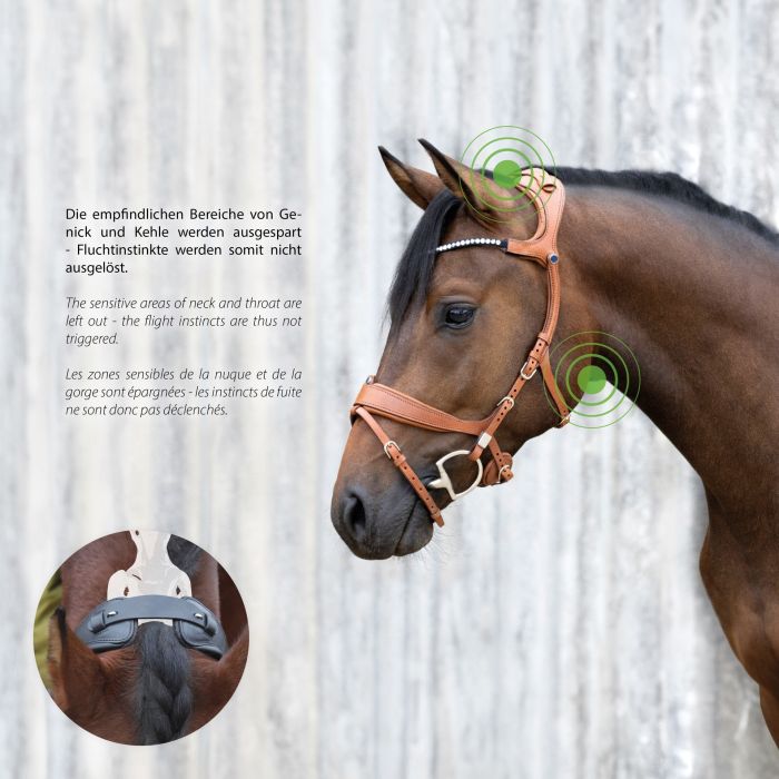 Stübben Bridle Freedom II Magic Tack with Slide&Lock