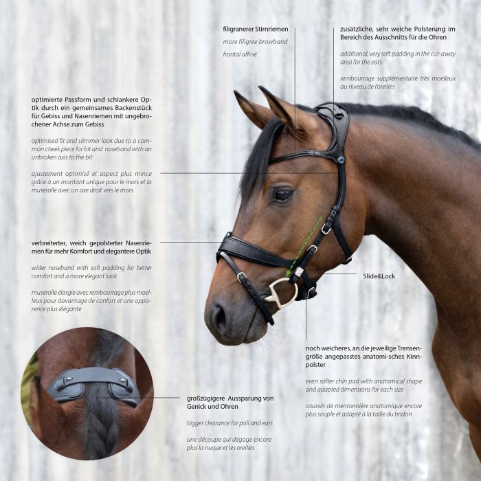 Stübben Bridle Freedom II with Slide&Lock