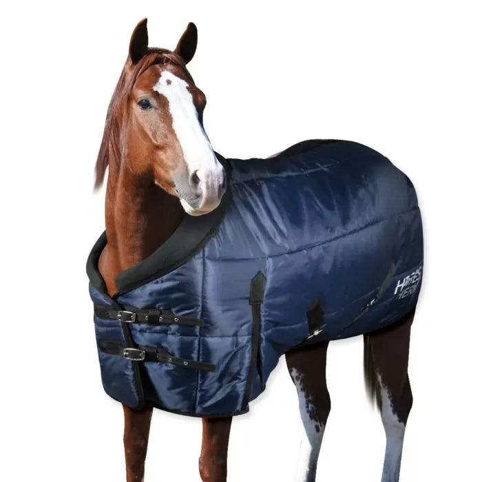 THERMO 350g STABLE RUG