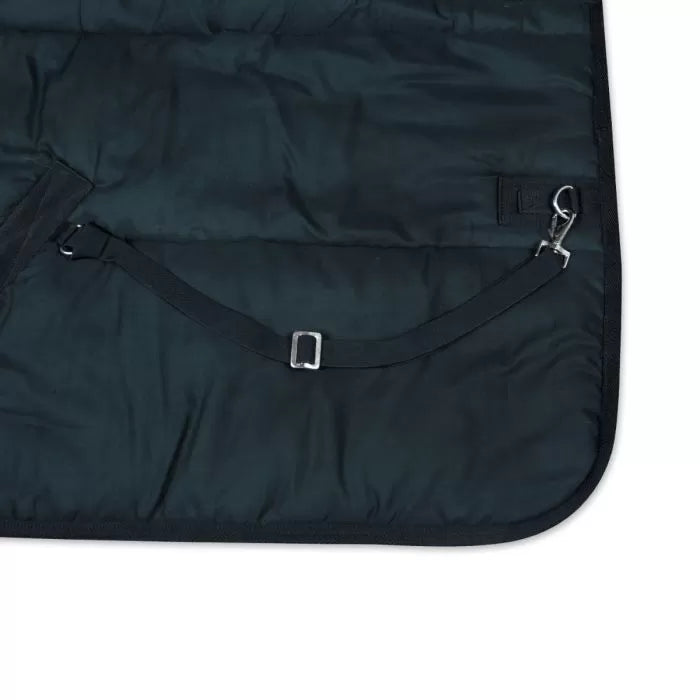 THERMO 350g STABLE RUG