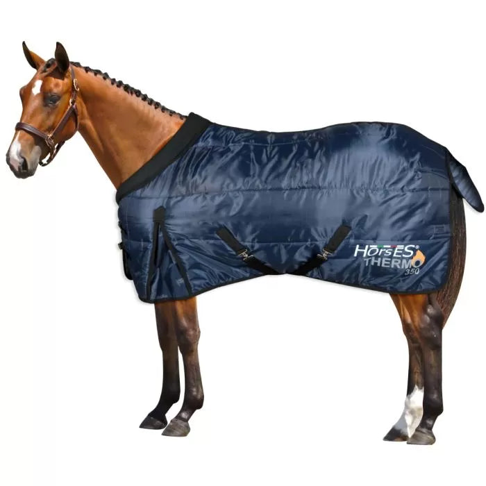 THERMO 350g STABLE RUG