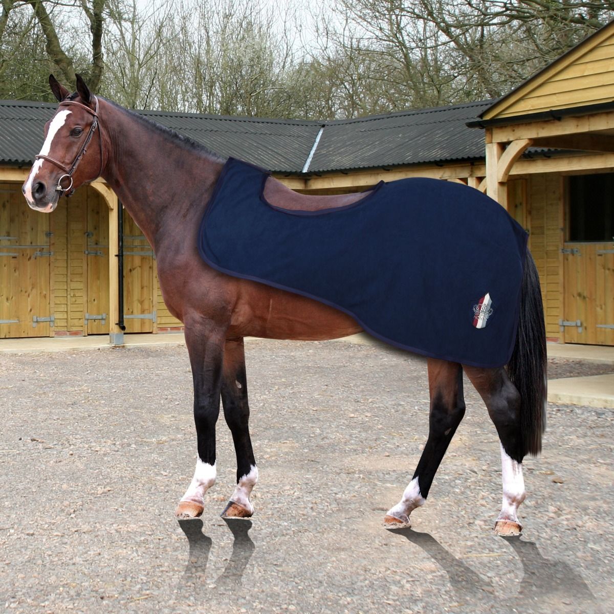 CROWN STRIPES EXERCISE RUG