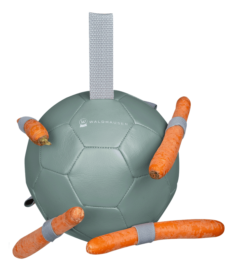Carrot Ball