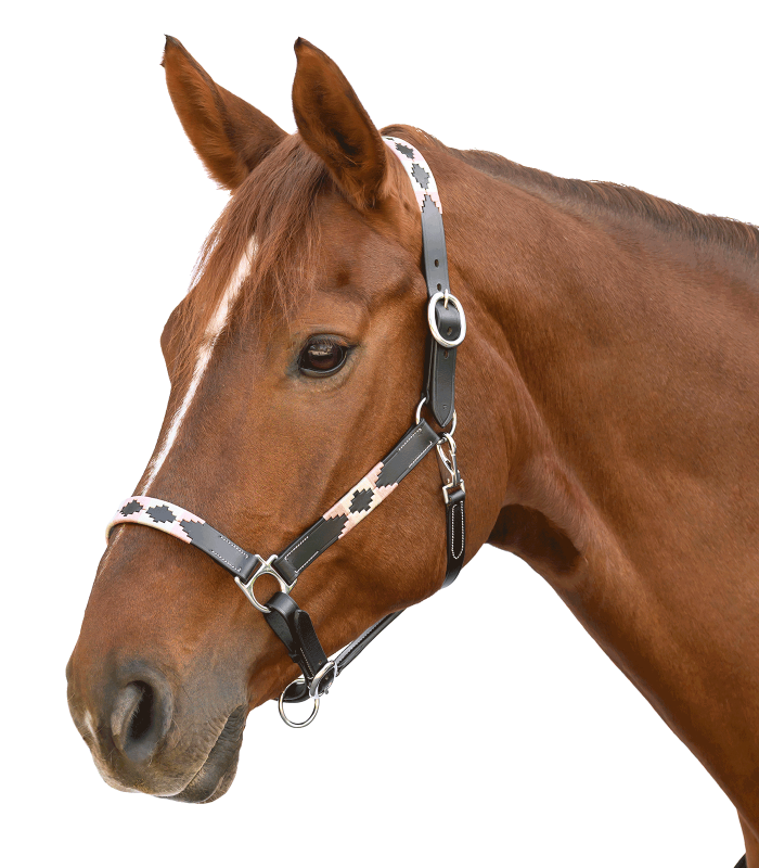 Polo Leather Halter