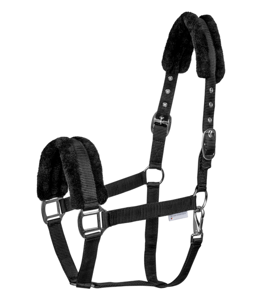 First Halter