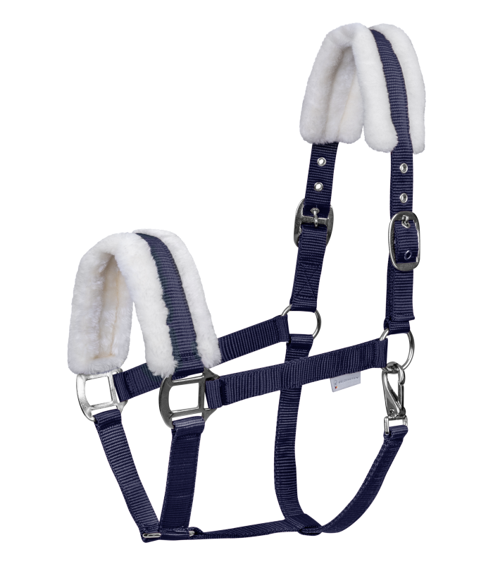 First Halter