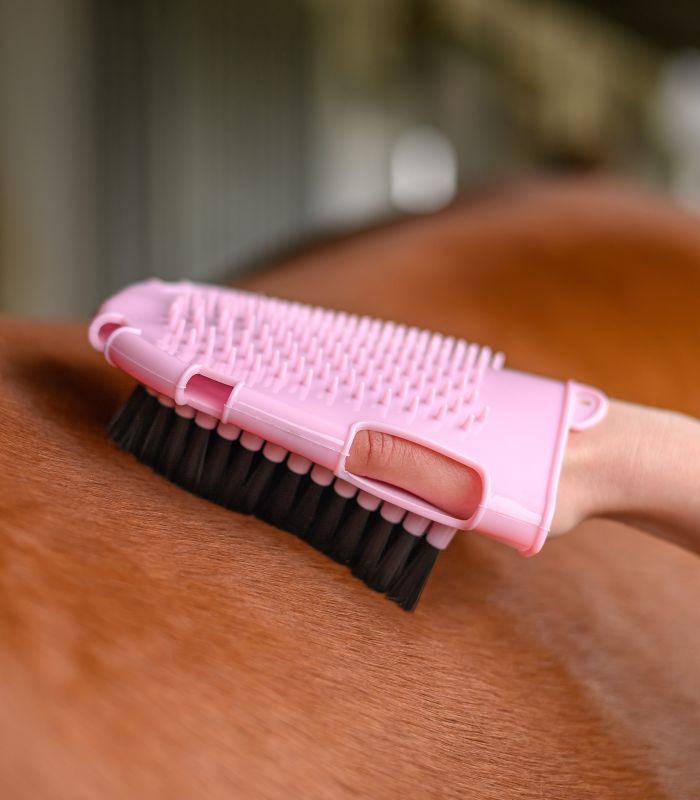 Grooming- and Washing Glove