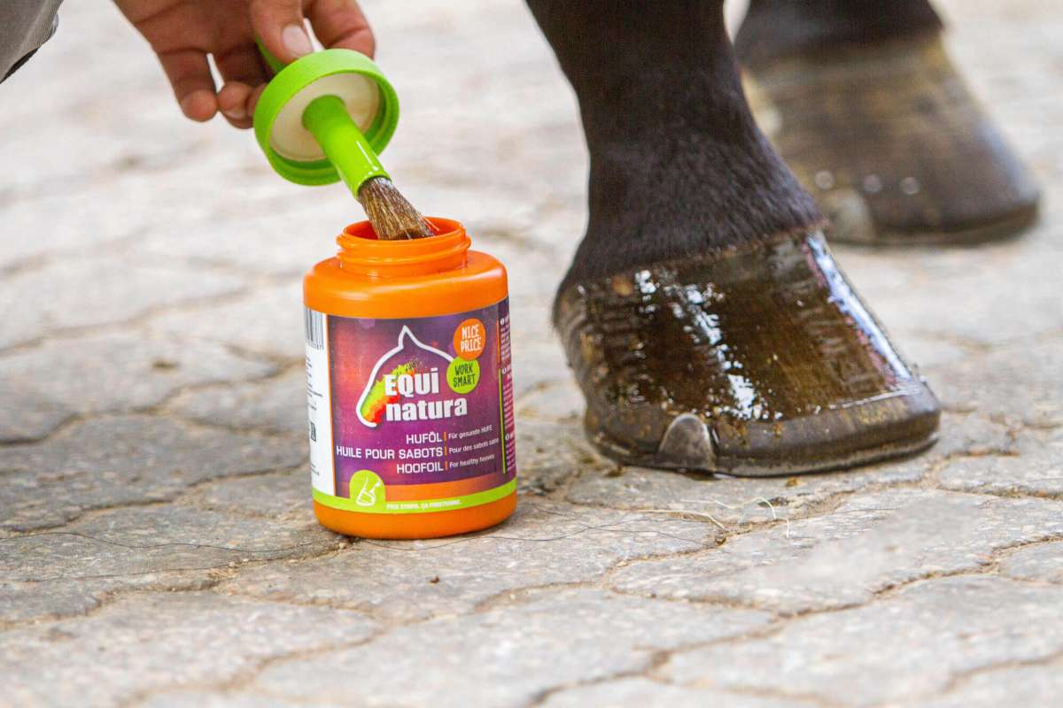 Equinatura Hoof Oil, with Brush