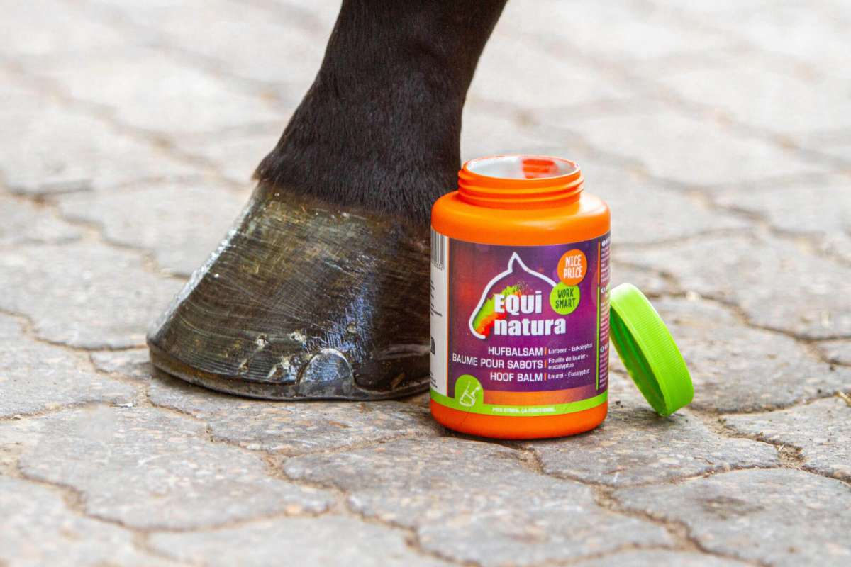 Equinatura Hoof Balsam