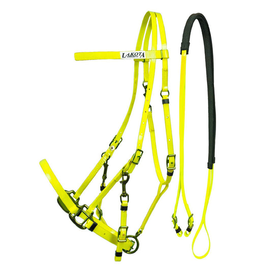 LAKOTA CAPASTRU IN BIOTHAME + DARLOGI