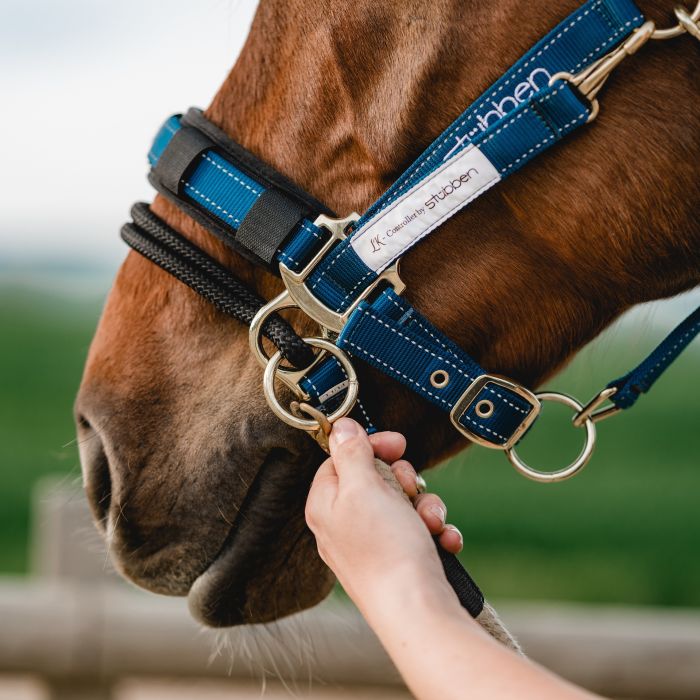 Stübben LK Controller for stable halters