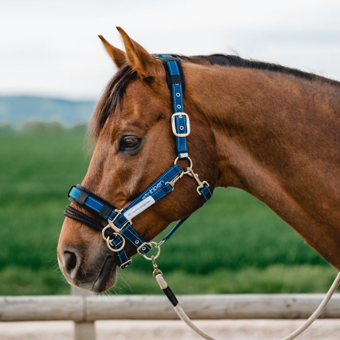 Stübben LK Controller for stable halters