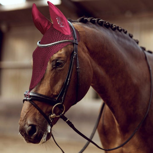 Loop Fly Hood