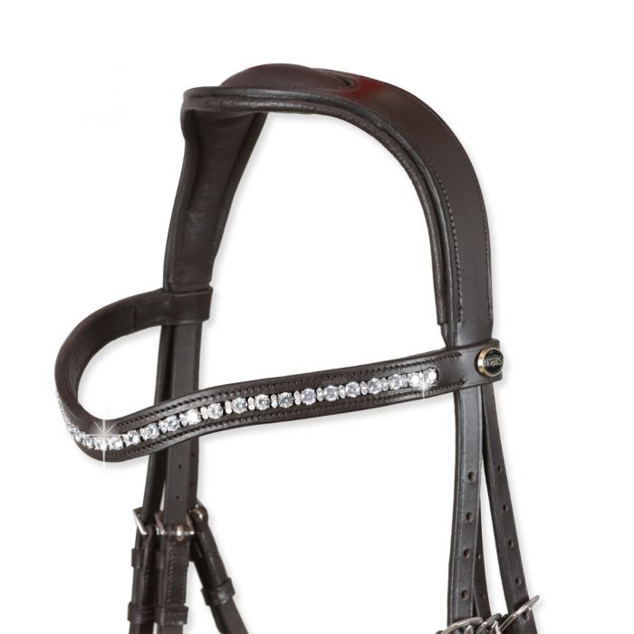 Tasting Crystal Anatomic Bridle