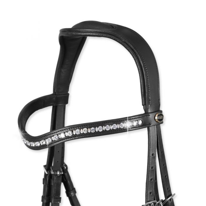 Tasting Crystal Anatomic Bridle