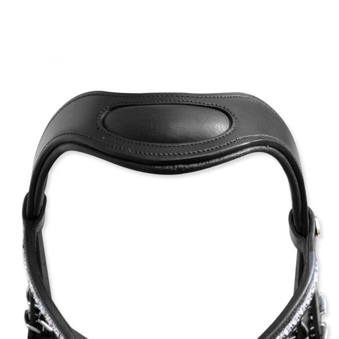 Tasting Crystal Anatomic Bridle