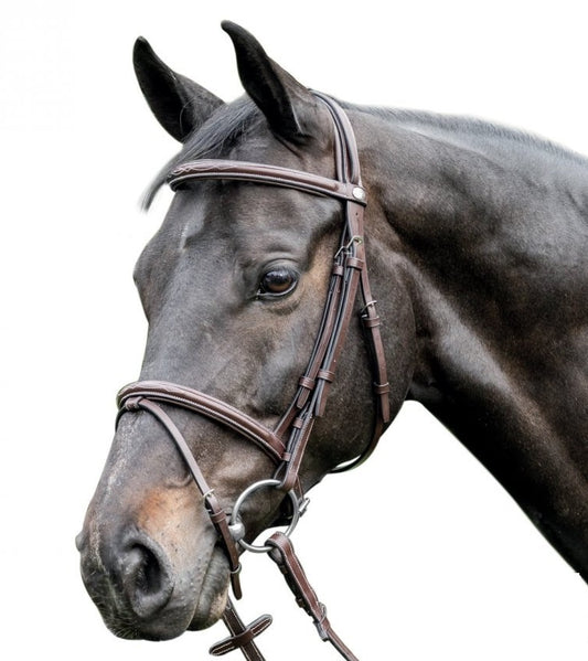 Prestige Raised, fancy stitched English bridle 3E083