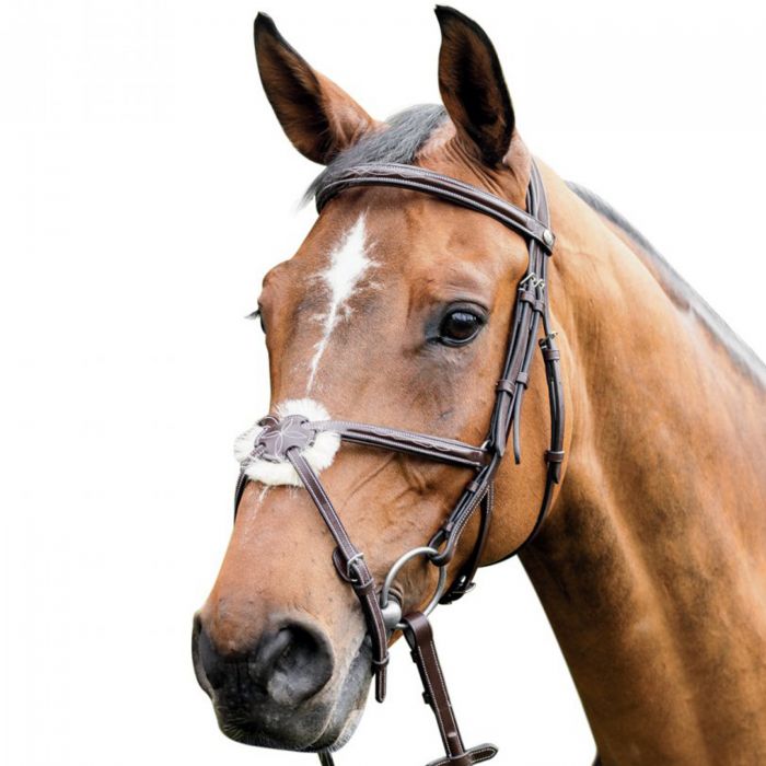 Prestige Bridle with Mexican Noseband 3E080