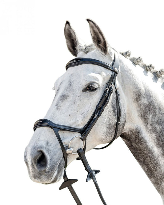 Prestige Double Drop Noseband Bridle 3E143