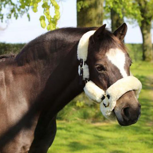 Kentucky Sheepskin Shipping Halter