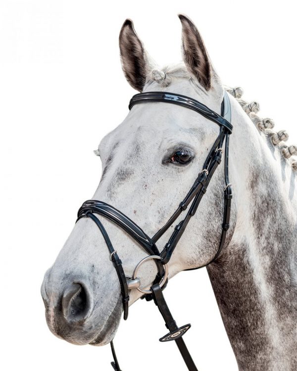 Prestige High-Line English bridle 3E101