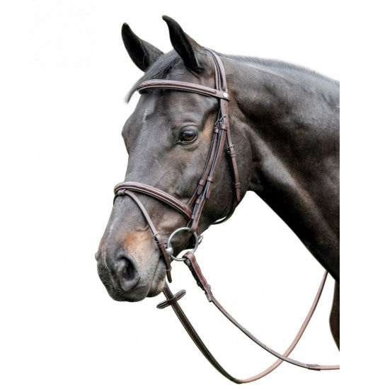 Prestige Raised, fancy stitched English bridle 3E037