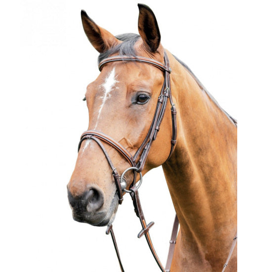 Prestige A thin single raised English bridle 3E087